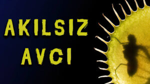 Feyyaz TV -venusKuran