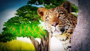 El-Hakk