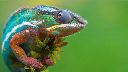 ig-636×330-topaz-enhance-2x-sharpen
