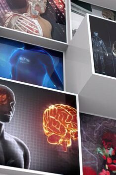 Deizm-4- Deizme göre yaratıcı hikmet sahibi midir?