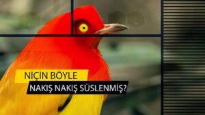 Deizme göre insan cevapsız sorularla başbaşa bırakılmıştır.