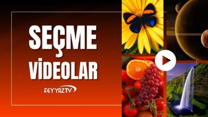 seçme