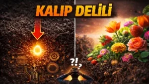 hqdefaultee